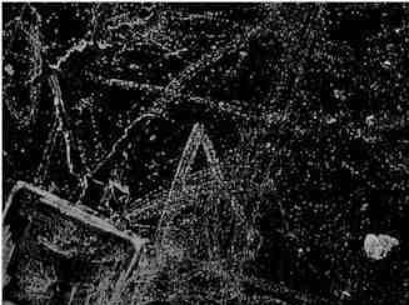 t-f_oza (13,5kb).jpg